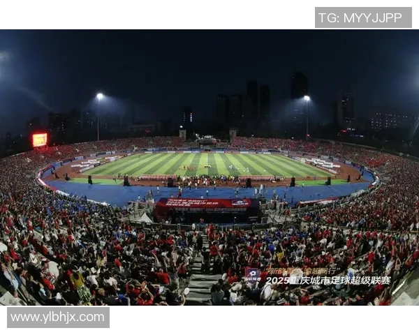 足球明星专属区域的魅力探秘与球迷互动体验全解析