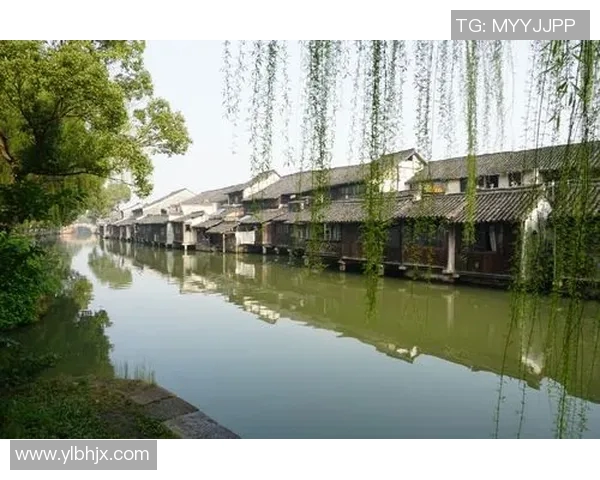 各国足球明星的辉煌成就与背后文化的深厚渊源探讨