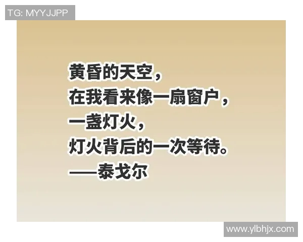 足球明星亲笔撰写的书籍揭秘他们的职业生涯与人生哲学