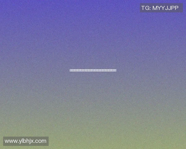 中国足球网全新赛事动态解析助力球迷了解最新比赛信息与精彩瞬间