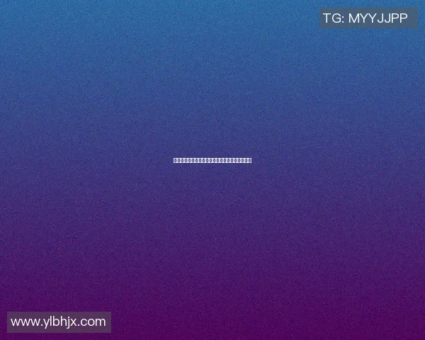 洛杉矶篮球明星聚集地探秘球场背后的故事与魅力